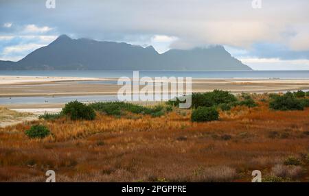 Vue sur Whangarei Heads et le mont Lion, Nouvelle-Zélande Banque D'Images