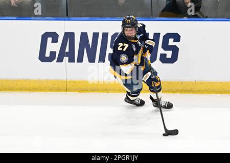 Fargo, Dakota du Nord, jeudi, 23 mars 2023. Canisius Golden Griffins en avant Ryan Miotto (27) skate avec le palet lors d'un match à l'ouest régional du tournoi de hockey masculin de la NCAA entre le Canisius College Golden Griffins et l'université du Minnesota Golden Gophers à l'arène de Scheels à Fargo, Dakota du Nord, jeudi, 23 mars 2023. Le Minnesota a gagné 9-2. Par Russell Hons/CSM Banque D'Images