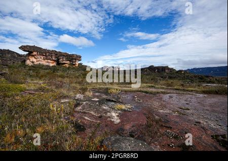 Plateau de la montagne de table Auyan tepui avec falaises de grès, Venezuela Banque D'Images