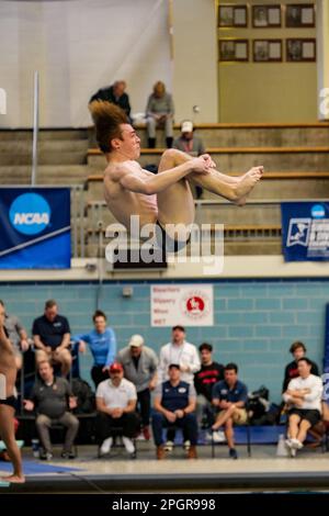 Minneapolis, Minnesota, États-Unis. 23rd mars 2023. Les plongeurs se réchauffent aux Championnats de natation et de plongée 2023 de la NCAA à Minneapolis, Minnesota. (Credit image: © Steven Garcia/ZUMA Press Wire) USAGE ÉDITORIAL SEULEMENT! Non destiné À un usage commercial ! Banque D'Images