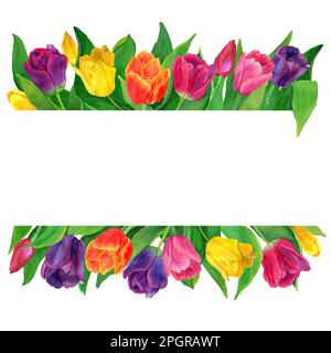 Aquarelle cadre de tulipes jaunes, roses et violettes dessinées à la main. La frontière de vacances de fleurs de printemps. Design botanique pour l'emballage, cartes de vœux Banque D'Images