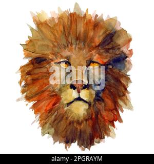 Aquarelle illustration dessinée à la main d'un lion assis de style naturel. Lion animal sauvage africain isolé. Design pour cartes, livres, poster scolaire Banque D'Images