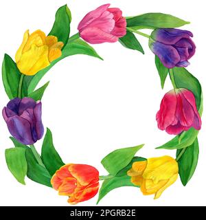 Aquarelle cadre rond dessiné à la main de tulipes jaunes, roses et violettes. Illustration de fleurs de printemps brillantes. Conception botanique pour l'emballage, cartes de vœux, Banque D'Images