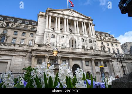 Le bâtiment de la Banque d'Angleterre BoE, Threadneedle Street, Londres façade du Royaume-Uni avec jacinthes de printemps et des pansies au premier plan Banque D'Images