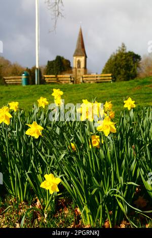 24 mars 2023 météo Royaume-Uni. Southborough Common, Kent. Église St Peters et jonquilles en fleur à côté du terrain de cricket de Southborough Common lors d'une matinée de printemps changeante de soleil et de douches, les jonquilles ont récemment commencé à fleurir au cours des derniers jours, ajoutant la couleur de printemps aux vues. Banque D'Images