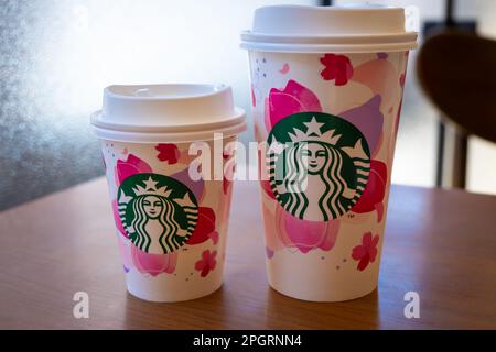 13 mars 2023 - Tokyo, Japon : tasses à café Starbucks à thème de cerisiers en fleurs Sakura Banque D'Images