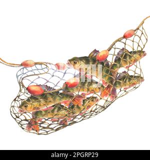 Illustration aquarelle, poisson pris dans un filet de pêche. Les Perchs se sont emmêlés dans un filet de pêche isolé sur fond blanc. Découpe de l'élément CLIP art pour Desi Banque D'Images