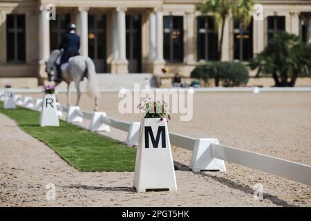 Dressage avec un cheval espagnol hors du foyer en arrière-plan lors d'une compétition en plein air Banque D'Images