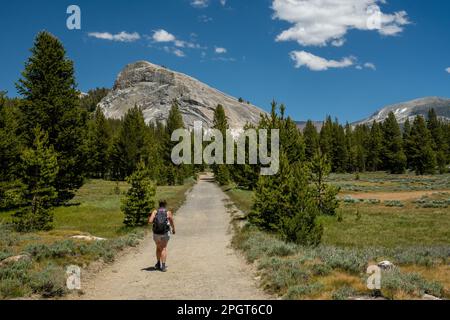 Une femme fait des randonnées vers le Lembert Dome dans le parc national de Yosemite Banque D'Images