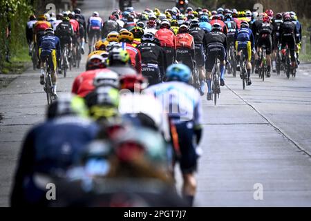 Harelbeke, vendredi 24 mars 2023. Harelbeke, Belgique. 24th mars 2023. Le pack de cavaliers photographiés en action lors de la course cycliste d'une journée 'E3 Saxo Bank Classic', 204,1km de et à Harelbeke, vendredi 24 mars 2023. BELGA PHOTO JASPER JACOBS crédit: Belga News Agency/Alay Live News Banque D'Images