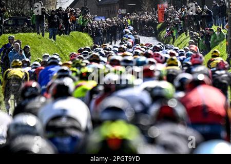 Harelbeke, vendredi 24 mars 2023. Harelbeke, Belgique. 24th mars 2023. Le pack de cavaliers photographiés lors de la course cycliste d'une journée 'E3 Saxo Bank Classic', 204,1km de et à Harelbeke, vendredi 24 mars 2023. BELGA PHOTO JASPER JACOBS crédit: Belga News Agency/Alay Live News Banque D'Images