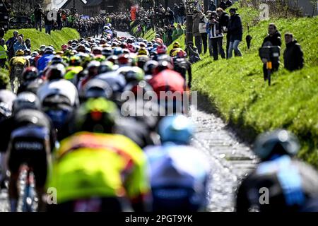 Harelbeke, vendredi 24 mars 2023. Harelbeke, Belgique. 24th mars 2023. Le pack de cavaliers photographiés lors de la course cycliste d'une journée 'E3 Saxo Bank Classic', 204,1km de et à Harelbeke, vendredi 24 mars 2023. BELGA PHOTO JASPER JACOBS crédit: Belga News Agency/Alay Live News Banque D'Images