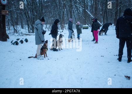 Cours de formation des chiens en décembre 2022, les hommes et les femmes séjournent avec leurs animaux de compagnie assis sur une épaisse neige blanche à la périphérie de Kiev, en Ukraine Banque D'Images