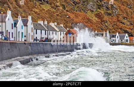 Pennan village Aberdeenshire Ecosse une très haute marée et de grandes vagues s'écrasant sur la digue en face des maisons Banque D'Images