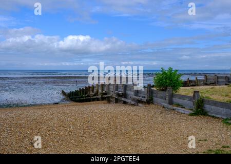 Groynes en bois sur la plage de galets de Whitstable West Beach, côte nord-est du Kent, Angleterre, Royaume-Uni. Banque D'Images