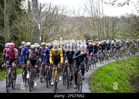 Harelbeke, vendredi 24 mars 2023. Harelbeke, Belgique. 24th mars 2023. Le pack de cavaliers photographiés en action lors de la course cycliste d'une journée 'E3 Saxo Bank Classic', 204,1km de et à Harelbeke, vendredi 24 mars 2023. BELGA PHOTO JASPER JACOBS crédit: Belga News Agency/Alay Live News Banque D'Images