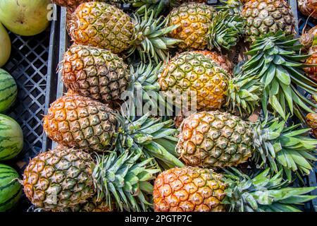 Ananas frais vendu au Mercado Central Guatemala Banque D'Images