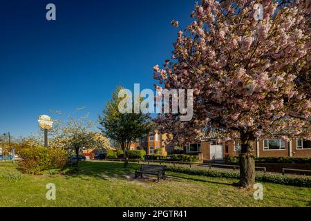 Photographie locale de Houghton Regis Banque D'Images