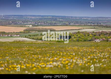 Photographie locale de Houghton Regis Banque D'Images