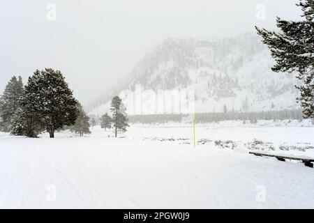 Feu de route couvert de neige dans le parc national de Yellowstone Banque D'Images