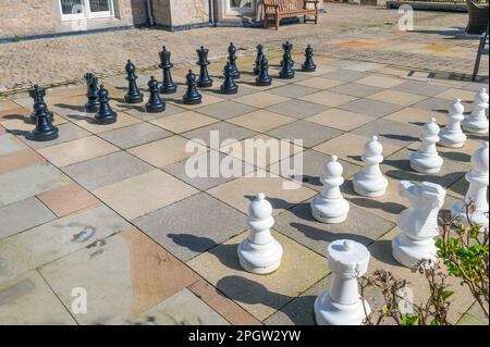 Échecs en plein air à Merlewood, Grange-over-Sands, Cumbria Banque D'Images