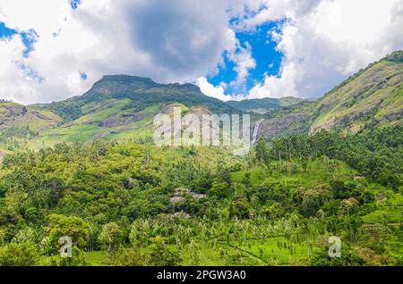 Collines Rocheuses de Munnar, Kerala, Inde Banque D'Images