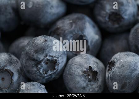 Les bleuets frais et propres avec des gouttes d'eau macro permettent de réaliser une mise au point peu profonde Banque D'Images