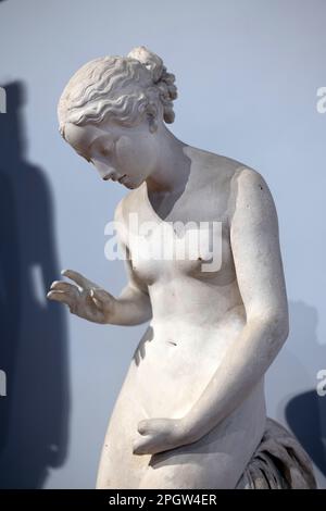 La collection Gipsoteca ou plâtre de Lorenzo Bartolini et Luigi Pampaloni à l'Accademia de Florence Banque D'Images