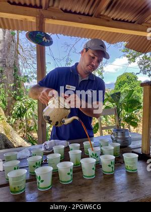 Naranjo, Costa Rica - Un guide touristique vous propose un café fraîchement préparé pour les touristes à la ferme et à l'usine de traitement de café Espirituu Santo. Banque D'Images