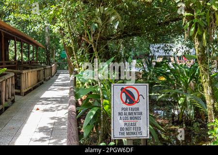 Parc national de Tortuguero, Costa Rica - Un panneau à Evergreen Lodge, un hôtel dans la forêt tropicale côtière, demande aux visiteurs de ne pas nourrir les singes. Banque D'Images