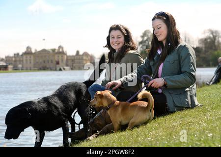 Jeunes femmes avec leurs chiens au bord du lac aux épreuves de badminton à Gloucestershire, Royaume-Uni. Banque D'Images