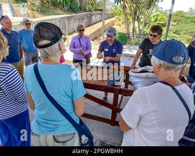 Naranjo, Costa Rica - Un guide discute des grains de café avec les touristes à la ferme et à l'usine de traitement de café Espirituu Santo. Banque D'Images