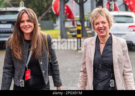 Cork, Irlande. 24th mars 2023. La Conférence du Parti du travail de 72nd commence ce soir à l'hôtel Silver Springs de Cork. Ivana Bacik, chef du travail, arrive à la conférence. Crédit : AG News/Alay Live News Banque D'Images