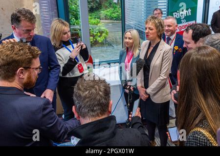 Cork, Irlande. 24th mars 2023. La Conférence du Parti du travail de 72nd commence ce soir à l'hôtel Silver Springs de Cork. Ivana Bacik, leader syndical, parle aux médias lors de la conférence. Crédit : AG News/Alay Live News Banque D'Images