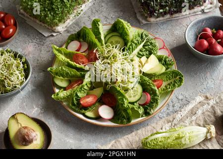 Salade de légumes sur une assiette de pousses de radis, avec brocoli et chou microverts croissant en arrière-plan Banque D'Images