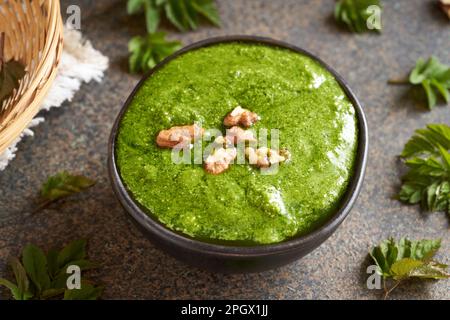 Pesto vert fait maison à partir de jeunes feuilles de boutade - une plante sauvage comestible collectée au début du printemps Banque D'Images