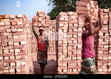 24 mars 2023, West Tootpara, Khulna, Bangladesh: Les gens travaillent dans le champ de briques, le travail dans un champ de briques peut être physiquement exigeant et peut impliquer de longues heures d'exposition à la chaleur, à la poussière et à d'autres dangers environnementaux. Dans les pays de la Bnagladesh, travailler dans des champs de briques est souvent considéré comme un emploi peu rémunéré et exigeant beaucoup de main-d’œuvre, et les travailleurs peuvent être confrontés à de mauvaises conditions de travail, à une faible sécurité d’emploi et à des opportunités d’avancement limitées. Toutefois, certains organismes et gouvernements travaillent à améliorer les conditions de travail et à promouvoir des pratiques plus durables et éthiques dans l'industrie de la brique. Banque D'Images