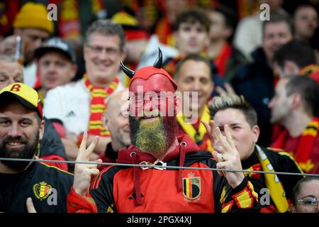 Stockholm, Suède. 24th mars 2023. Supporters belges lors du match de football de l'UEFA Euro 2024 du groupe F entre la Suède et la Belgique à Friends Arena, Stockholm, Suède 24 mars 2024.photo: Maja Suslin/TT/Kod 10030 crédit: TT News Agency/Alay Live News Banque D'Images