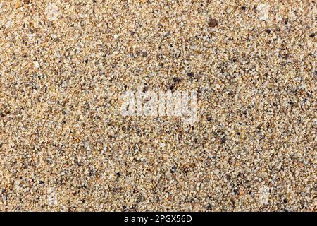 Sable de dunes à grain fin dérivé du membre Allison de la formation Menefee (période crétacée), comté de McKinley, Nouveau-Mexique Banque D'Images