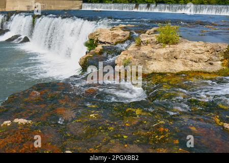 Grand Falls sur Shoal Creek à Joplin, Missouri, Missouri, États-Unis, États-Unis, ÉTATS-UNIS. La plus grande cascade du Missouri. Banque D'Images