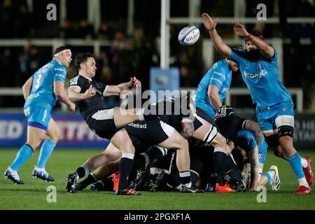 Newcastle Falconss' Micky Young lance le ballon lors du match Gallagher Premiership à Kingston Park, Newcastle upon Tyne. Date de la photo: Vendredi 24 mars 2023. Banque D'Images