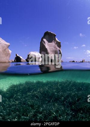 Entrées à Punta Li Giorri. Île Asinara. Porto Torres. Sassari. Sardaigne. Italie Banque D'Images