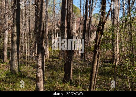 Manoir caché niché dans les bois, partiellement caché de la vue. Immobilier et concept de propriété. Banque D'Images