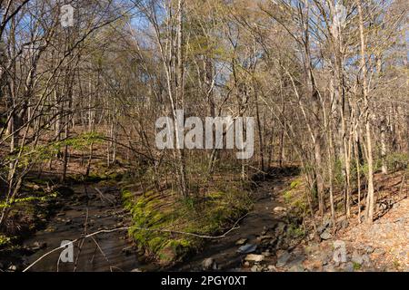 Manoir caché niché dans les bois, partiellement caché de la vue. Immobilier et concept de propriété. Banque D'Images