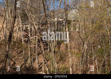 Manoir caché niché dans les bois, partiellement caché de la vue. Immobilier et concept de propriété. Banque D'Images