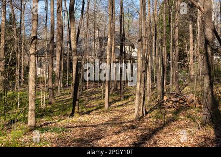 Manoir caché niché dans les bois, partiellement caché de la vue. Immobilier et concept de propriété. Banque D'Images