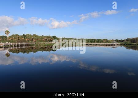 Promenade surélevée au centre naturel de Green Cay et à Wetlands à Boynton Beach, Floride, le matin ensoleillé. Banque D'Images