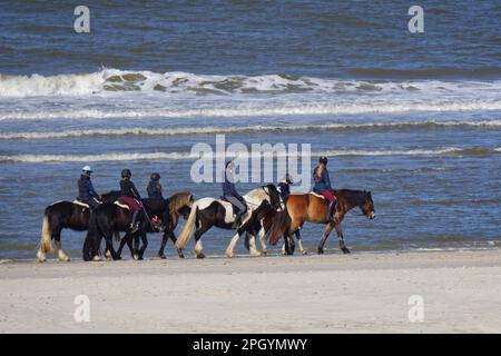 Cavaliers sur la plage de Langeoog, Langeoog, Basse-Saxe, Allemagne Banque D'Images