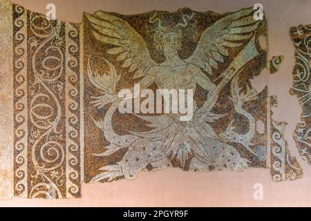 Mosaïque de sol avec Triton, 3rd Century BC, Musée archéologique dans l'ancien Hôpital de l'ordre des Chevaliers de St. John, 15th siècle, vieille ville Banque D'Images