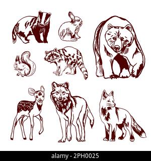 Ensemble d'animaux sauvages de la forêt. Illustration vectorielle. Illustration de Vecteur